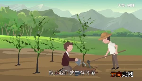 世界森林日的由来 世界森林日的来历