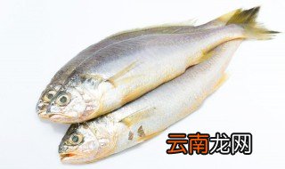 扁扁的大片鱼是什么鱼 扁扁的大片鱼叫什么鱼