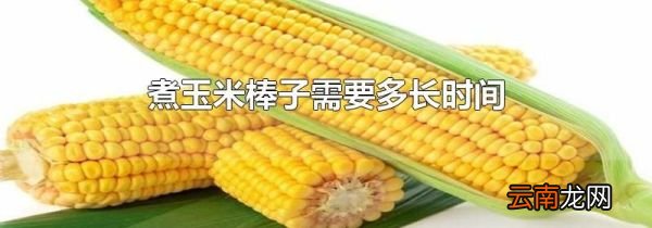 煮玉米棒子需要多长时间