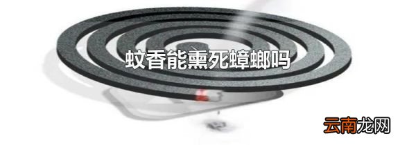 蚊香能熏死蟑螂吗