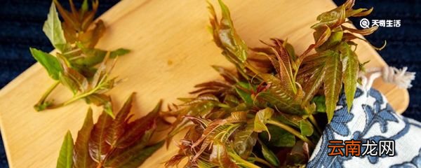 香椿的腌制方法和保存 香椿如何做