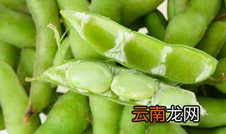 毛豆发芽了还能吃吗 毛豆发芽了还能不能吃