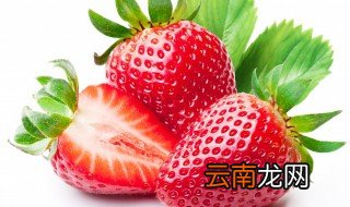 丹东草莓为啥那么大 丹东草莓大的原因介绍