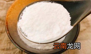上面酵母是什么东西 上面酵母指是什么