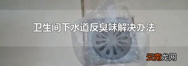卫生间下水道反臭味解决办法