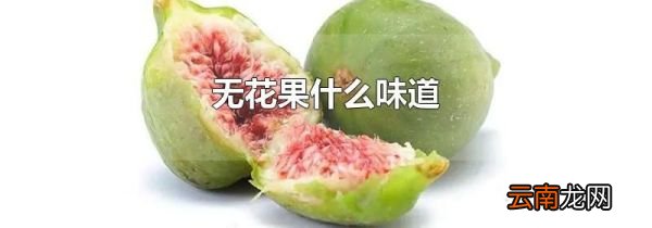无花果什么味道