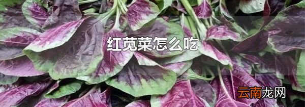 红苋菜怎么吃