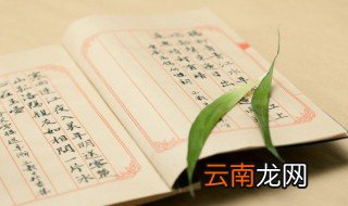 刺猬读音 刺猬的介绍