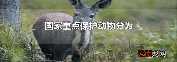 国家重点保护动物分为