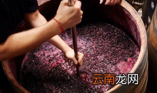 葡萄泡白酒的制作方法 葡萄泡白酒做法