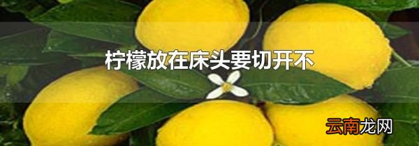 柠檬放在床头要切开不
