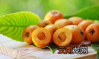 枇杷酒的家庭酿制方法 怎么做枇杷酒