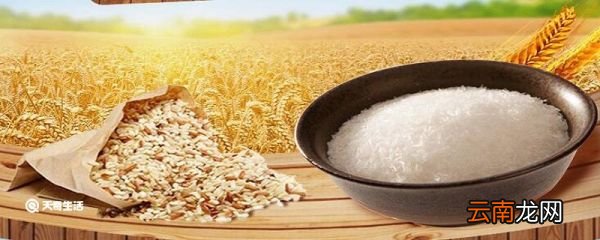 味精的成分 味精由什么组成