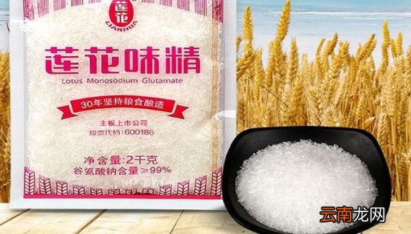 味精的成分 味精由什么组成