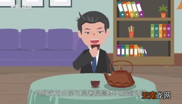 白茶产地白茶有几个产地