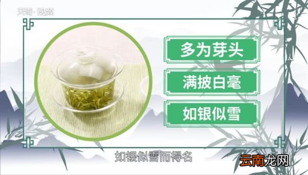白茶产地白茶有几个产地