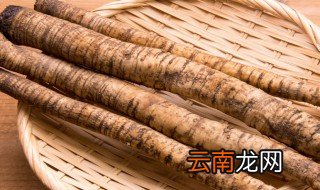 什么是牛蒡 牛蒡的简介