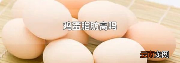 鸡蛋脂肪高吗