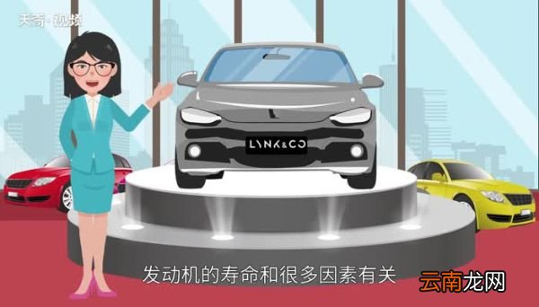三缸和四缸的寿命 三缸车子的寿命比四缸短吗