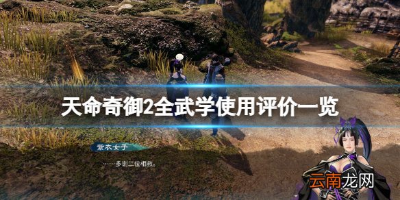 天命奇御2武学什么最强 天命奇御2全武学使用评价一览 枪法篇