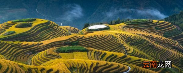 龙脊梯田在广西哪个县 龙脊梯田属于广西哪里