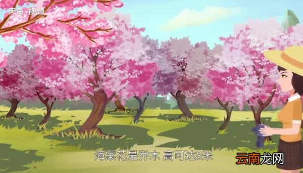 红瘦指的是什么花儿 绿肥红瘦红瘦指的是什么花儿