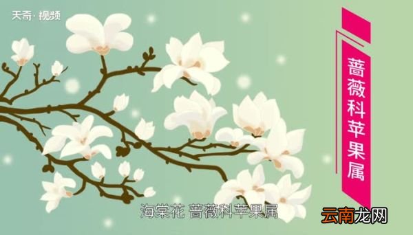 红瘦指的是什么花儿 绿肥红瘦红瘦指的是什么花儿