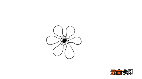 鲜花简笔画 鲜花怎么画好看