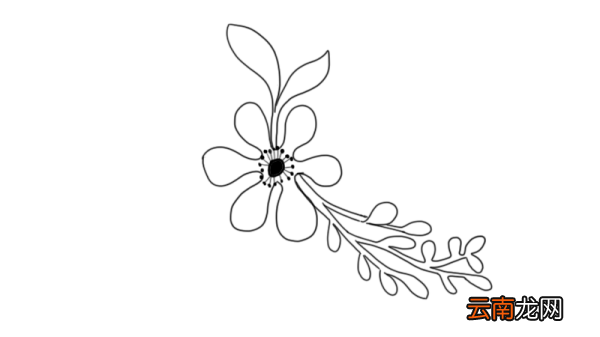 鲜花简笔画 鲜花怎么画好看