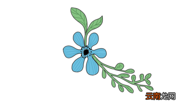 鲜花简笔画 鲜花怎么画好看