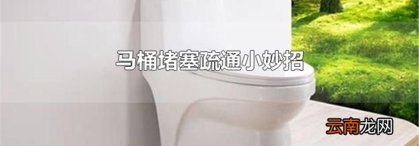 马桶堵塞疏通小妙招