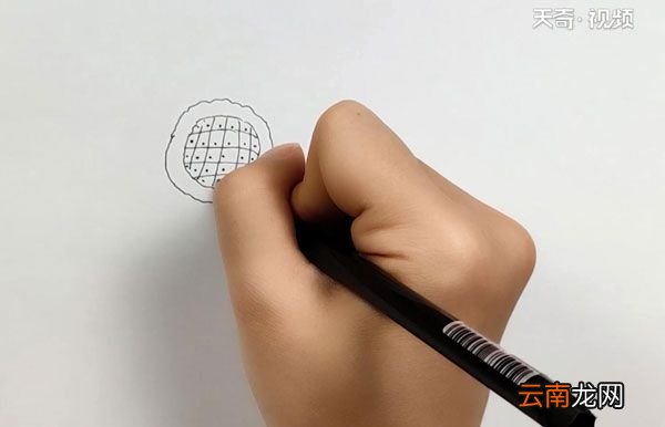 向日葵图片简笔画