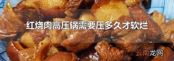 红烧肉高压锅需要压多久才软烂
