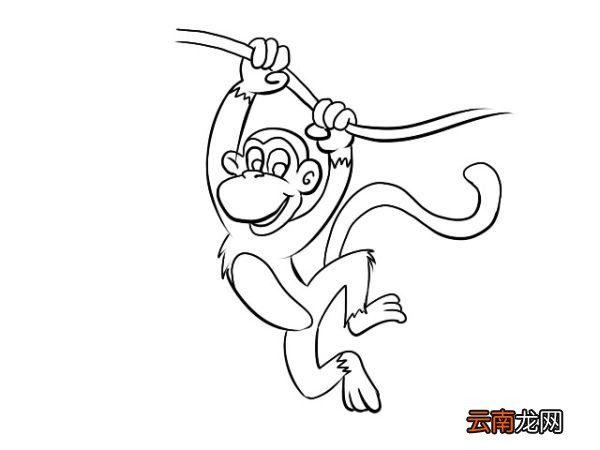猴子怎么画 猴子简笔画