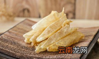 蜘蛛公是什么 鱼胶相关介绍