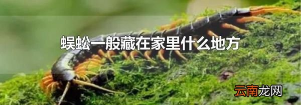 蜈蚣一般藏在家里什么地方