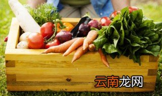 最早的胡萝卜 胡萝卜最早出现在哪个朝代