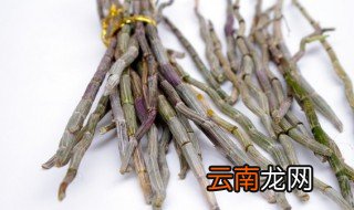 石斛读音 石斛的意思