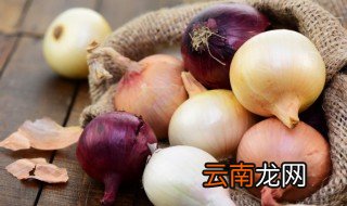 洋葱需要洗吗 洋葱需要洗吗葱里面洗吗
