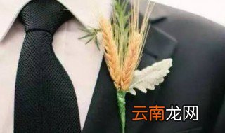 胸花别在左侧还是右侧 胸花别在右侧对吗