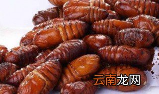 蚕蛹是熟冻还是生冻 蚕蛹怎么冻好呢