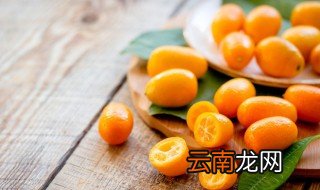 脆皮金桔栽种养护注意事项，脆皮金桔怎么养护