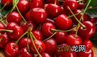栽种小樱桃树的注意事项，栽樱桃树需要注意什么