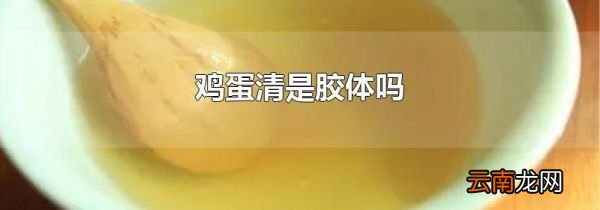 鸡蛋清是胶体吗
