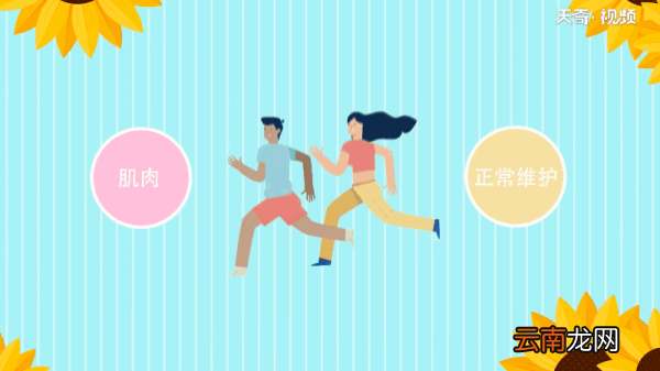 为什么人要吃肉 为何人要吃肉
