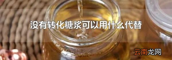 没有转化糖浆可以用什么代替