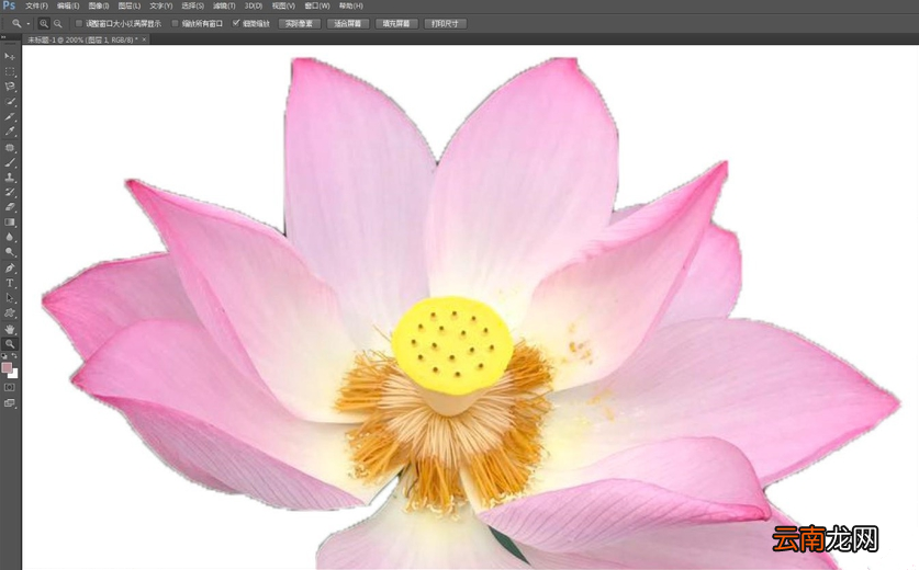 使用Photoshop快速选择工具抠图具体操作方法