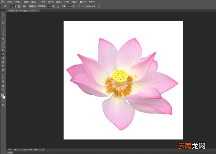 使用Photoshop快速选择工具抠图具体操作方法