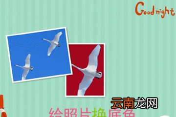 美图秀秀怎么把蓝底照片变成白底 给照片换底色