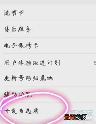 vivoz5怎么打开usb调试